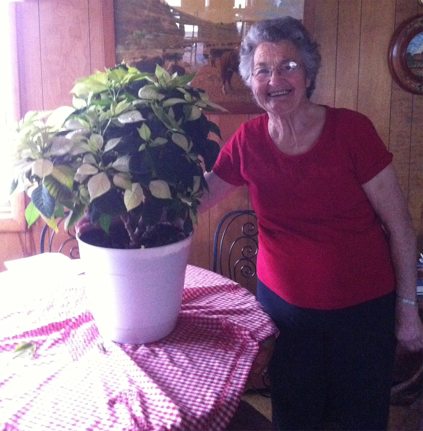 T-Shirt-Design von Krypton Designer für dieses Projekt | Design #13319306