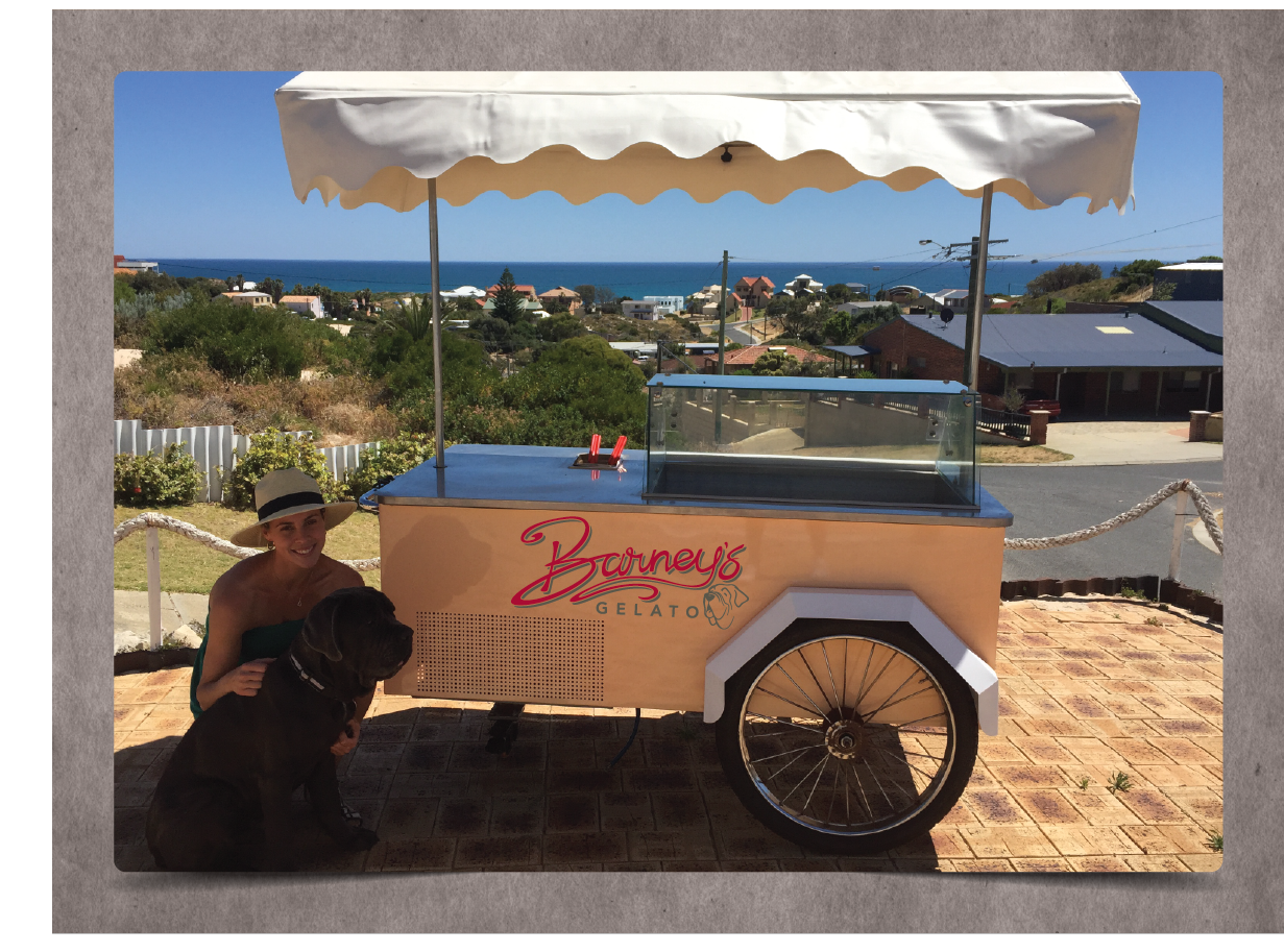 Diseño de Logo por sD para Barney's Gelato | Diseño #13335030