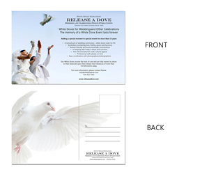 Print Design by Mohib Qazi for this project | Design: #2760382