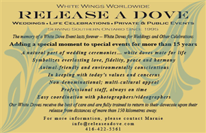 Print Design by Unrated Designs for this project | Design: #2469958