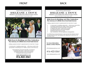 Print Design by Starkal Graphicx for this project | Design: #2495727