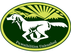 Logo Design by Bogdan Stanagui