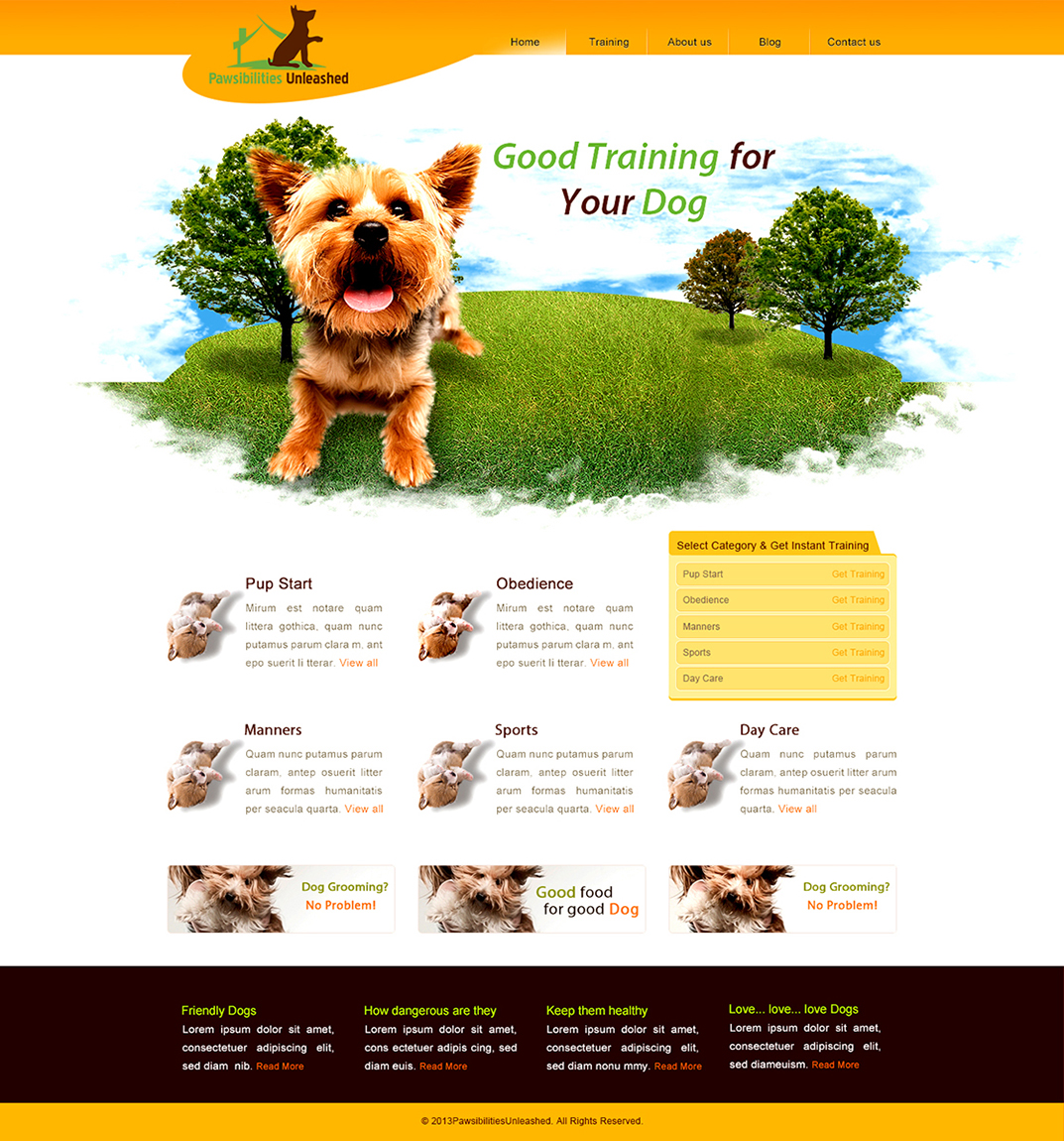 Diseño Wordpress por Lucky Striker para este proyecto | Diseño #2601451