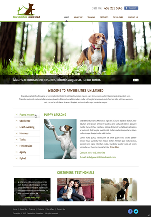 Wordpress Design by pb for this project | Design: #2553018