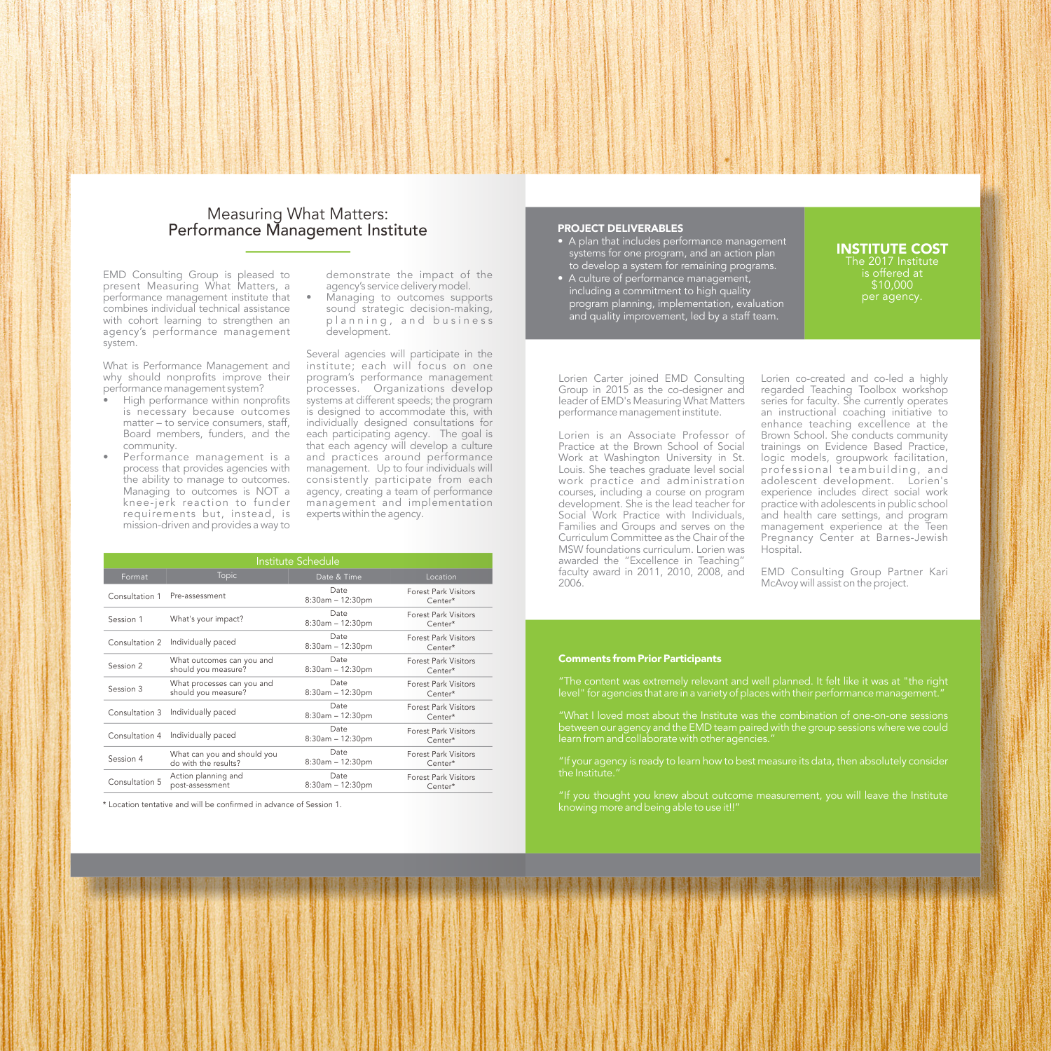 Brochure Design by barinix for EMD Consulting Group | Design #13350821