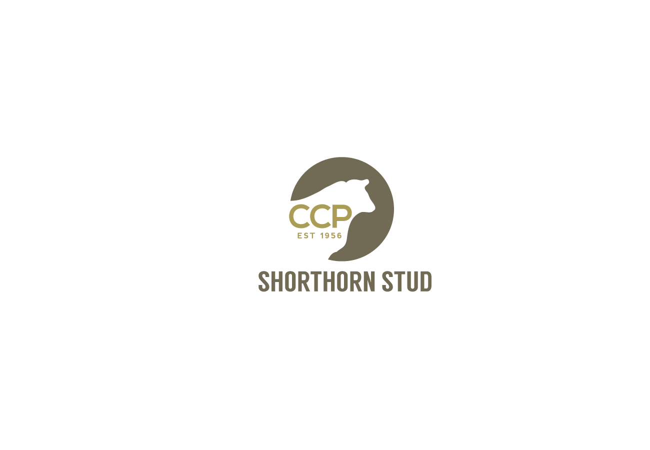 Logo Design by CR8TIVE CODE for this project | Design #2485945