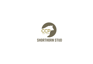 Logo Design by CR8TIVE CODE for this project | Design: #2485945