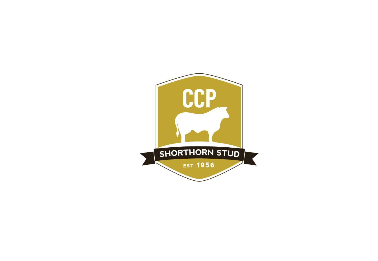 Logo-Design von CR8TIVE CODE für dieses Projekt | Design #2490882