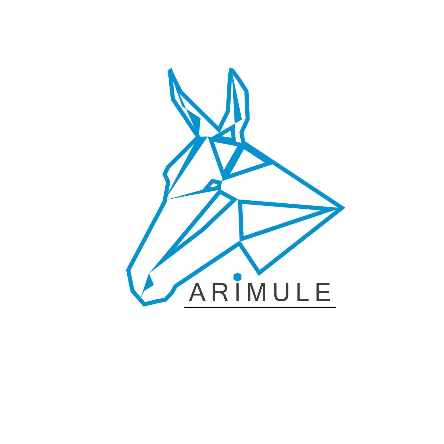 Logo Design by husainasad.art for this project | Design #13338820