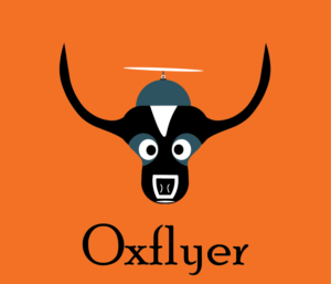 Logo Design by CreativeWisdom