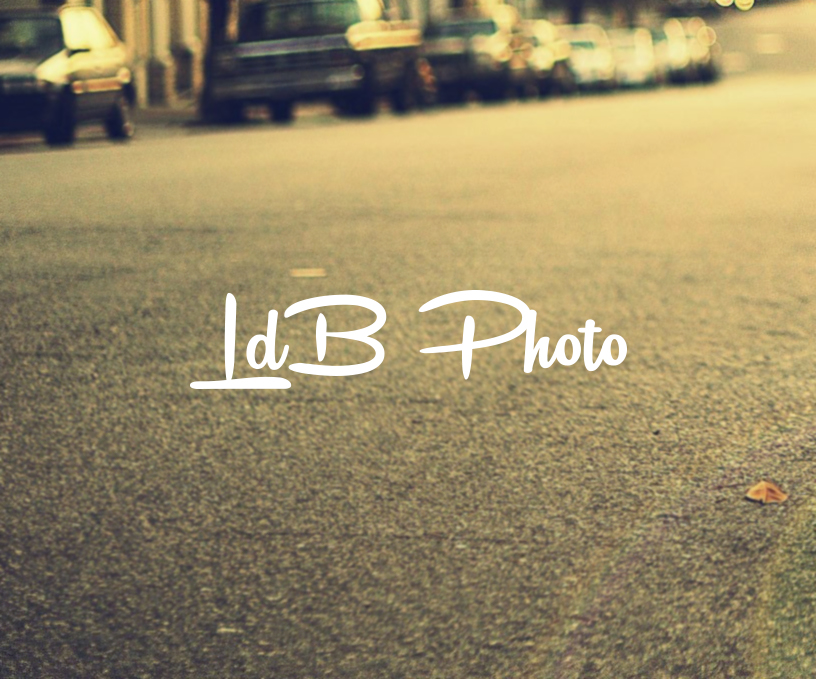 Logo Design by Mak.T for this project | Design #13425608
