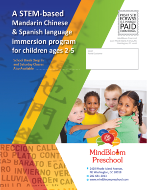 Design de Flyer par AccuSource pour MIndBloom Preschool | Design #13525407