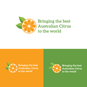 Logo Design by Irish22D for this project | Design #13338405