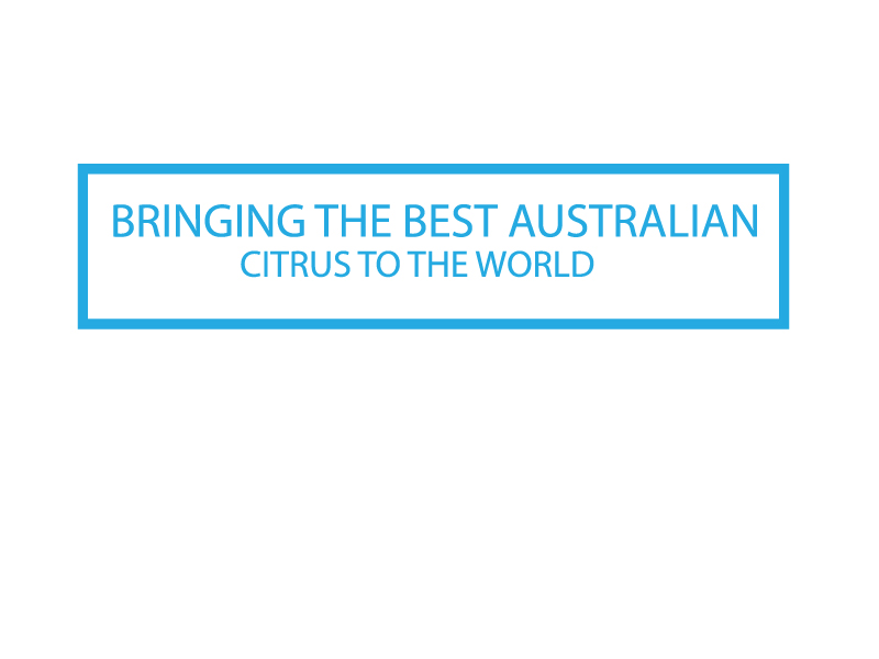 Logo Design by imismailhossainbd for this project | Design #13397309