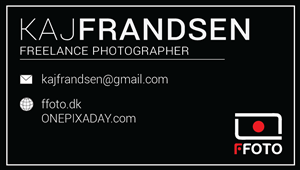 Business Card Design by LeighAnn Jay for this project | Design #2467797