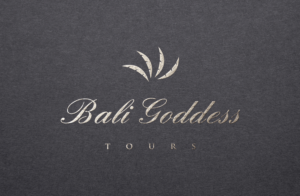 Logo Design by GLDesigns for Bragabout Pty Ltd | Design: #13340810