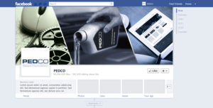 Facebook Design by Sarina.dsg for PEDCO AG | Design: #13397575