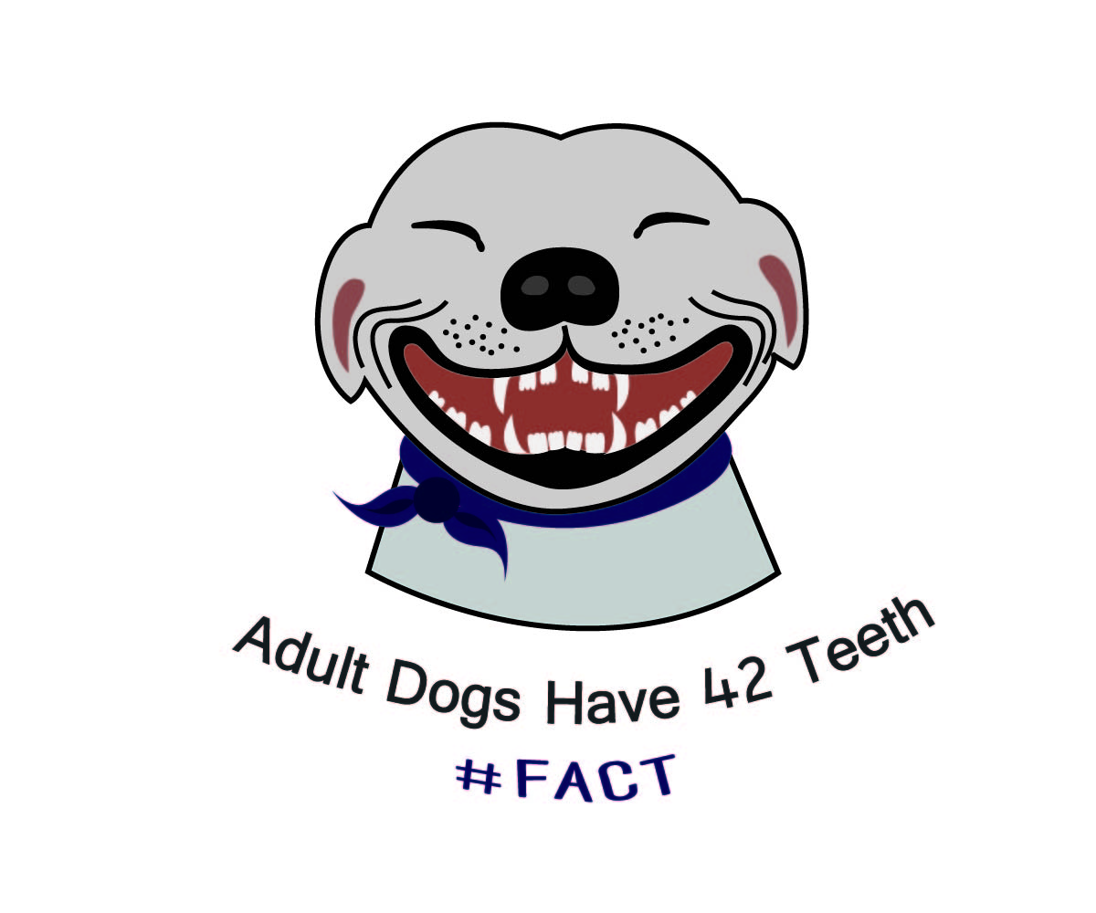 Design de T-shirt par Hafsauygun pour The Fact Site | Design #13375450