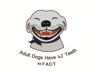T-Shirt-Design von Hafsauygun für The Fact Site | Design #13375450