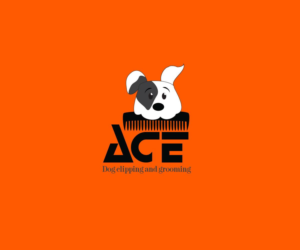 Logo Design by Mustafa Hendawy