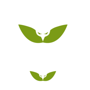 Logo Design by shanchud