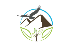 Logo Design by futurism