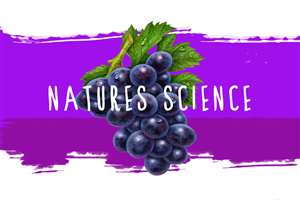 Design de Logo par busicards pour Raw Rising | Design : #2471660