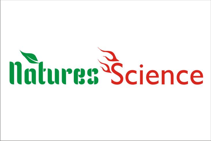 Diseño de Logo por GRADES para Raw Rising | Diseño #2522183