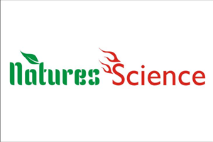 Design de Logo par GRADES pour Raw Rising | Design : #2522183