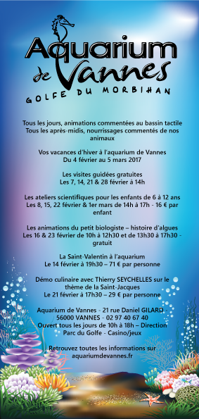 Diseño de Flyer por jenny28 para este proyecto | Diseño: #13375947