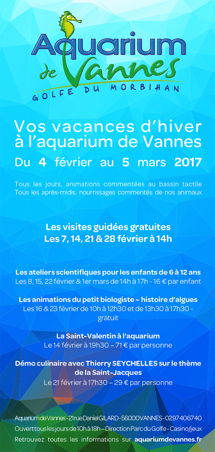 Flyer Design by Vitae Schola for this project | Design #13373336