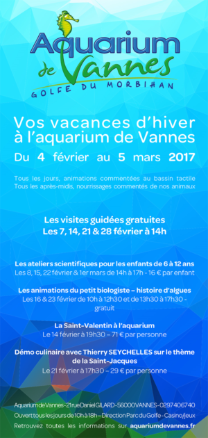 Flyer Design by Vitae Schola