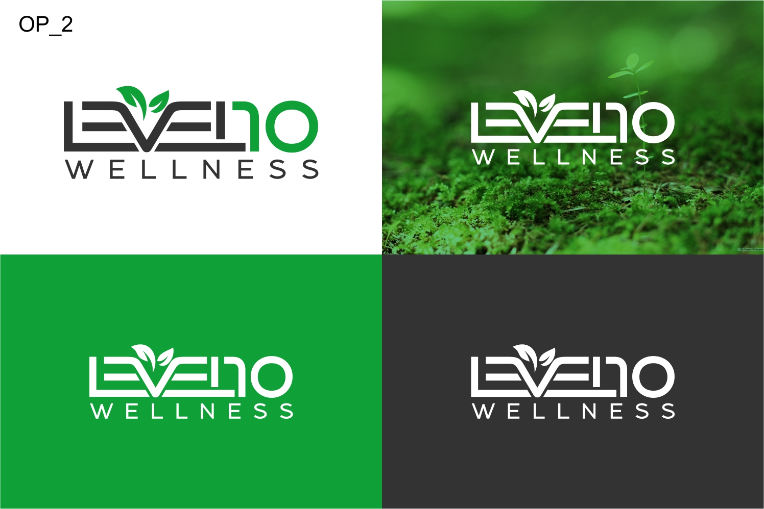 Logo Design by Well Being for Level 10 Wellness  | Design #13454746
