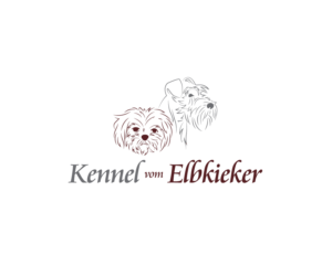 Logo Design by Davaus