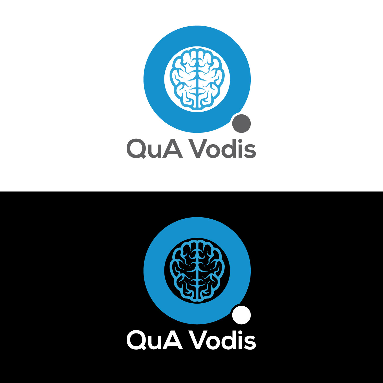 Design de Logo par kodyart pour QuA Vodis Limited | Design #13521872