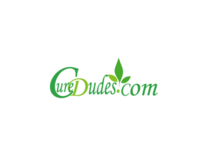 Diseño de Logo por Shurid Designer para ProntoLogic | Diseño #13422471