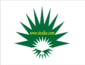 Logo Design by Rai