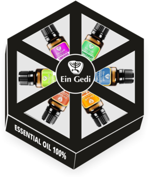 Packaging Design by wchristia for Ein Gedi Cosmetics ltd. | Design: #13533873
