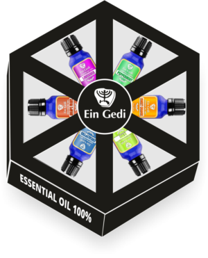 Packaging Design by wchristia for Ein Gedi Cosmetics ltd. | Design: #13573228