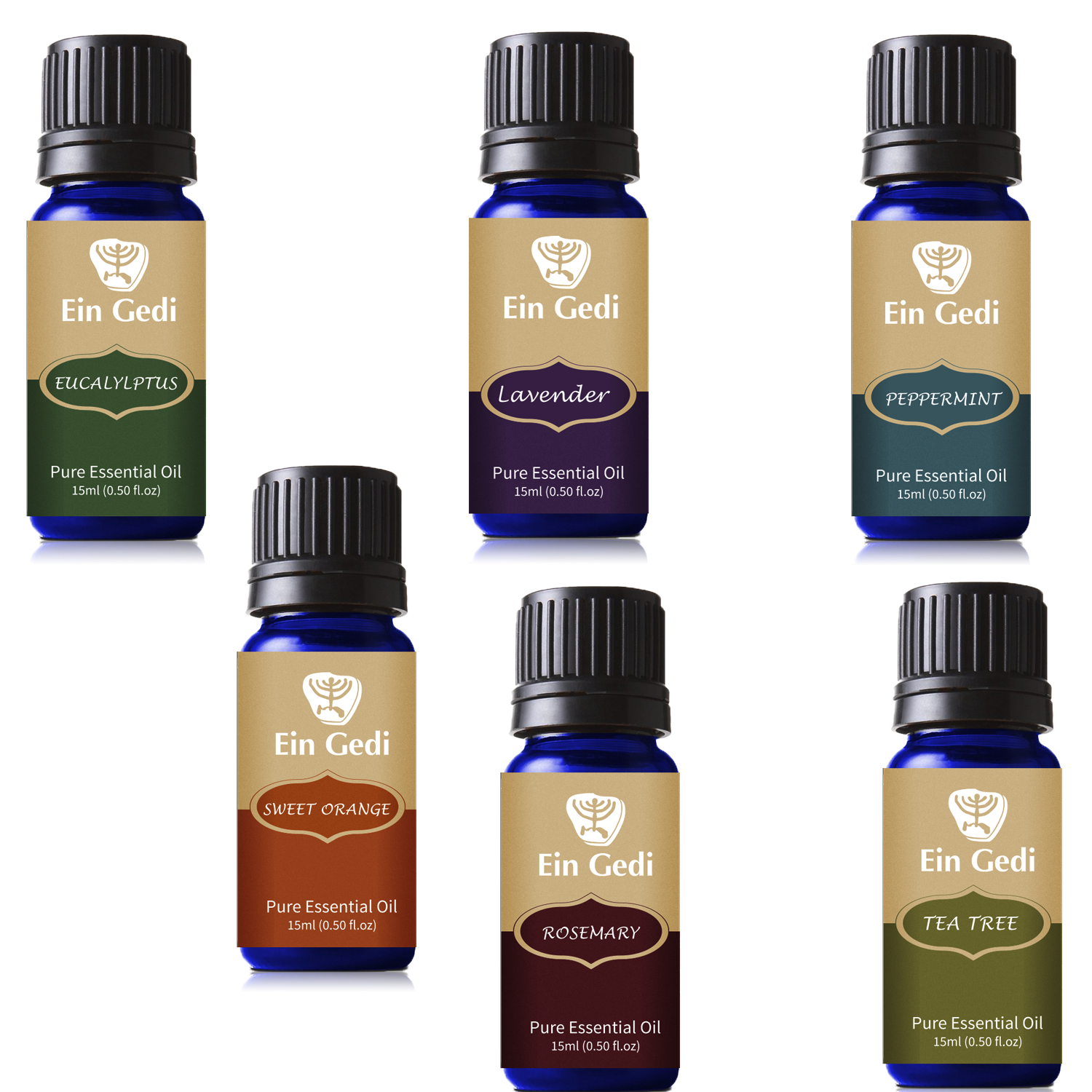 Packaging Design by Shabnum Khan for Ein Gedi Cosmetics ltd. | Design #13651274