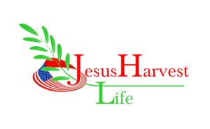 Logo Design by svv2gis