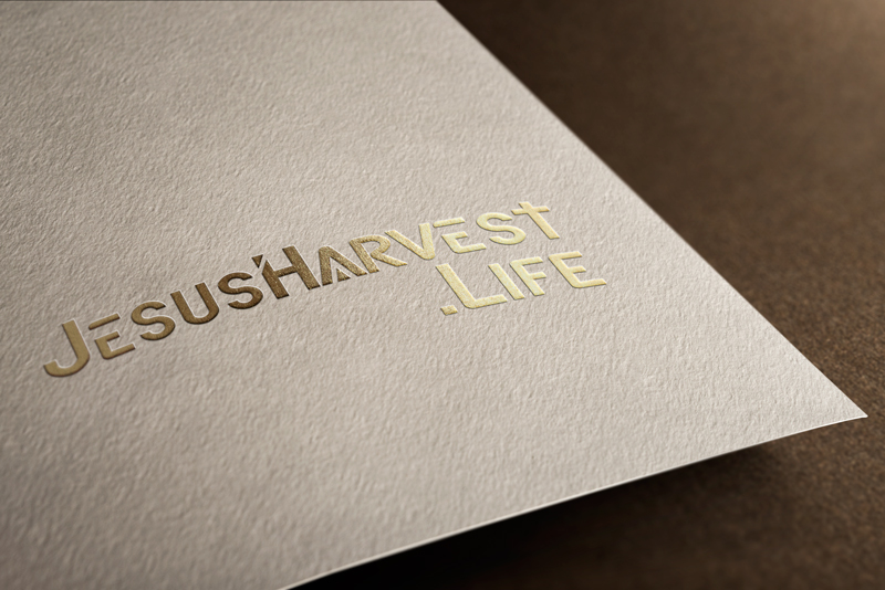 Logo Design by imismailhossainbd for this project | Design #13409969