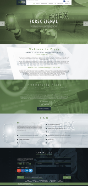 Web Design by Black Stallions Impressive Solutions for this project | Design #13510540