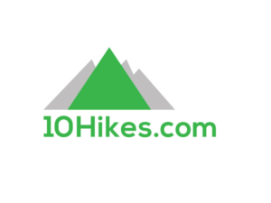 Logo Design by adobeomor for this project | Design: #13445125