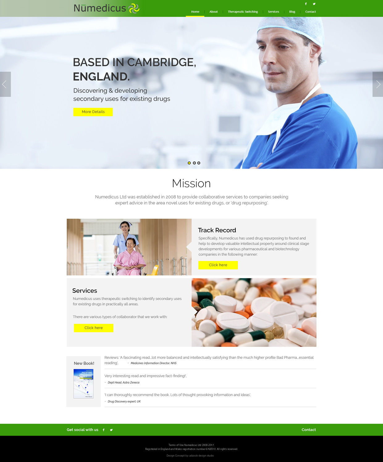 Diseño Web por adzoob para este proyecto | Diseño #13473602