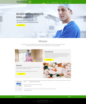 Diseño Web por adzoob para este proyecto | Diseño #13473602