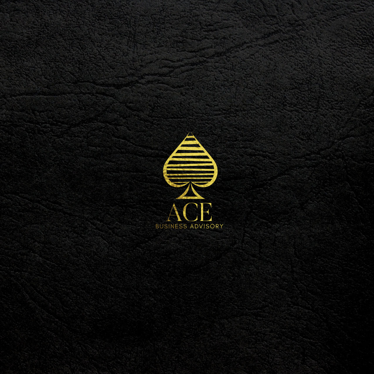 Logo Design by P R O  D E S I G N for Ace Business Advisory | Design #13530655