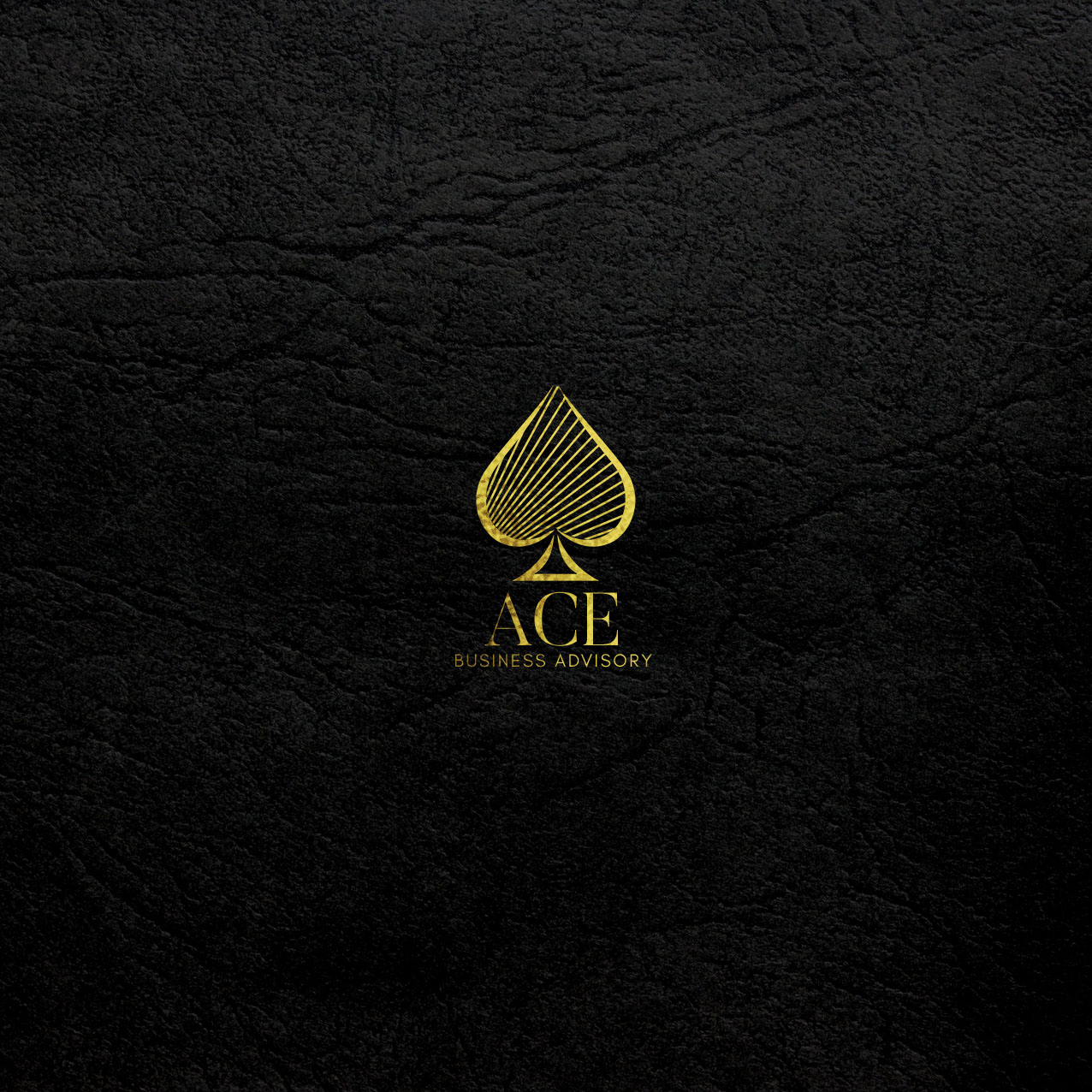 Logo Design by P R O  D E S I G N for Ace Business Advisory | Design #13530656