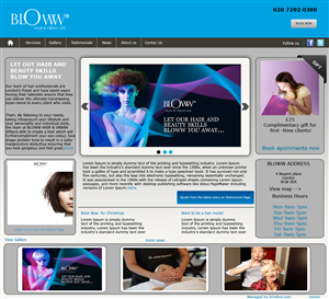 Web Design by Hexatechbd