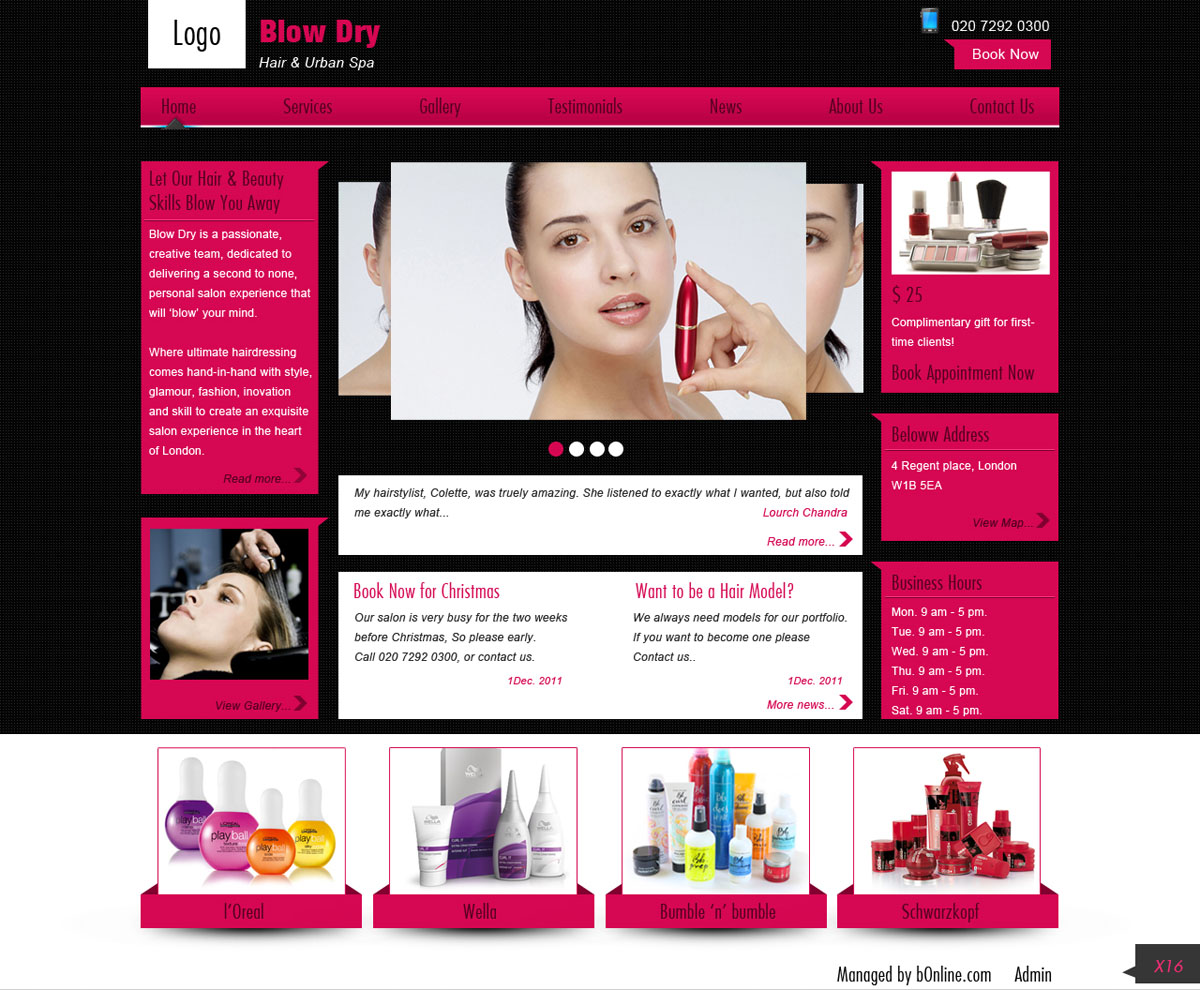 Web Design by pb for bOnline Ltd. | Design #537778